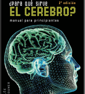 PARA QUE SIRVE EL CEREBRO